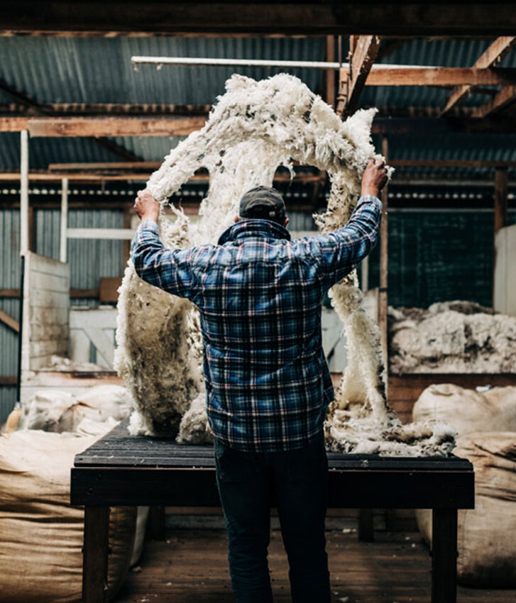 Wool vs. Cotton Origin