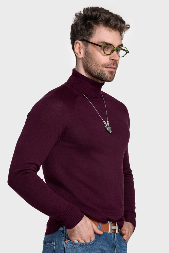 Чоловічий вовняний светр з високою стійкою (Amarena)