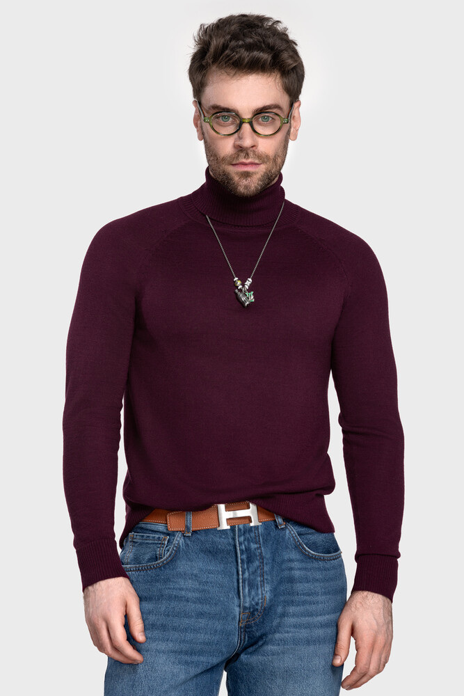 Чоловічий вовняний светр з високою стійкою (Amarena)