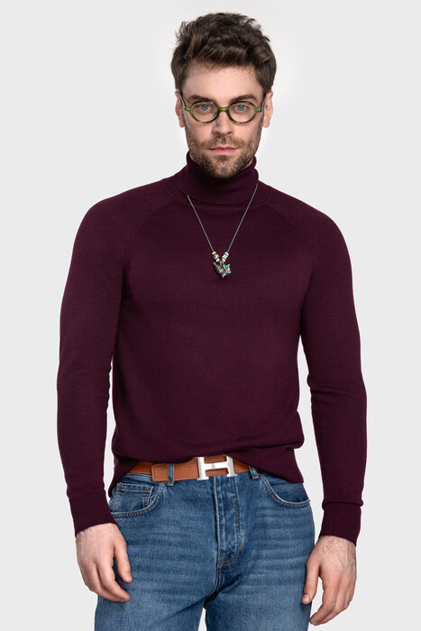 Чоловічий вовняний светр з високою стійкою (Amarena)
